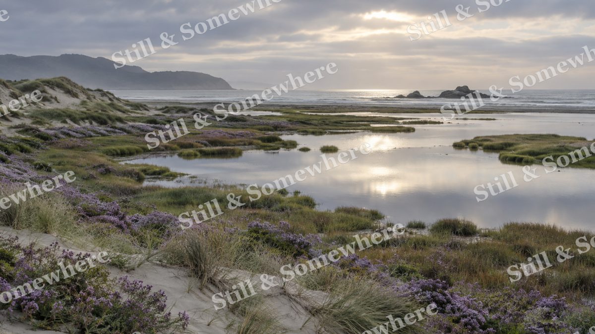 Landscapes Quiet Dunes Beside a Sea Lavender Marsh, peaceful landscapes artwork preview