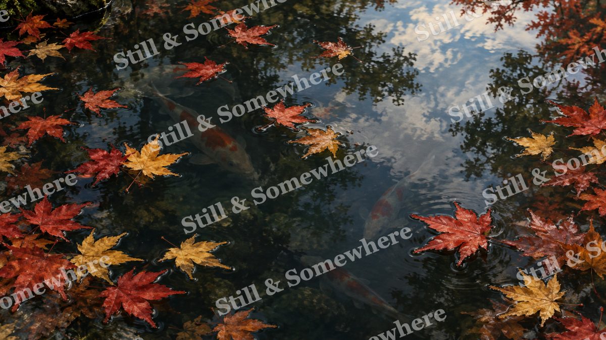 Maple Leaves on the Garden Pond, gardens artwork preview