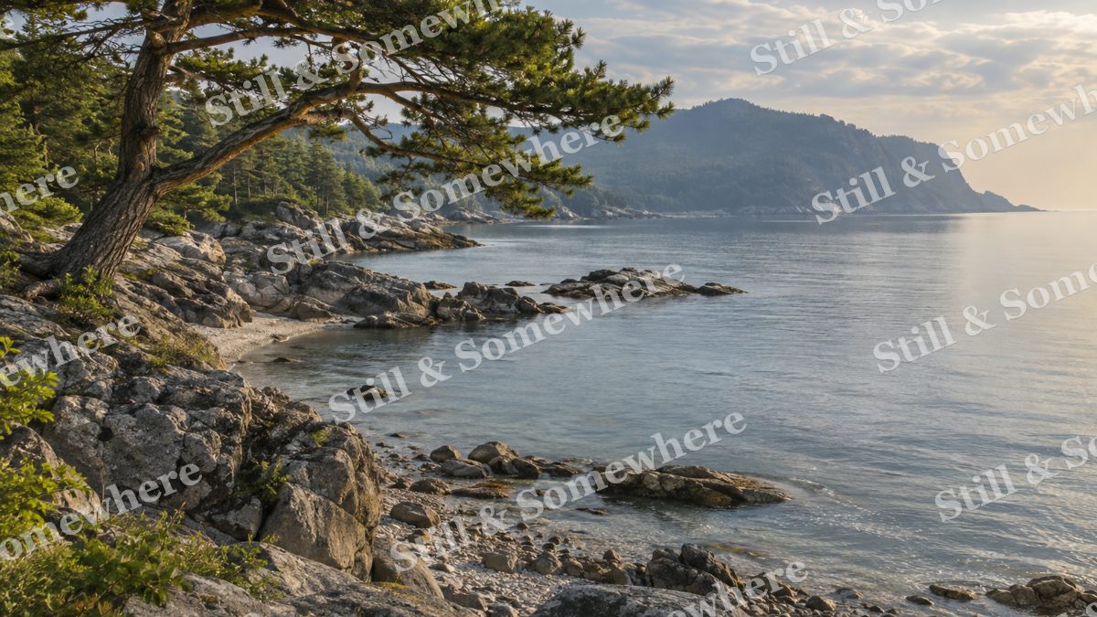 Landscapes Quiet Cove Beneath a Windswept Pine, peaceful landscapes artwork preview