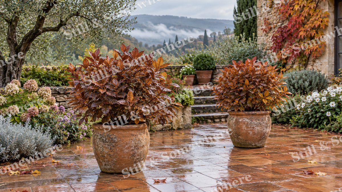 Autumn Rain on the Courtyard Tiles, gardens artwork preview