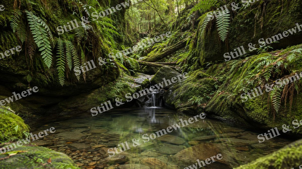 Landscapes Emerald Shade in a Quiet Ravine, peaceful landscapes artwork preview