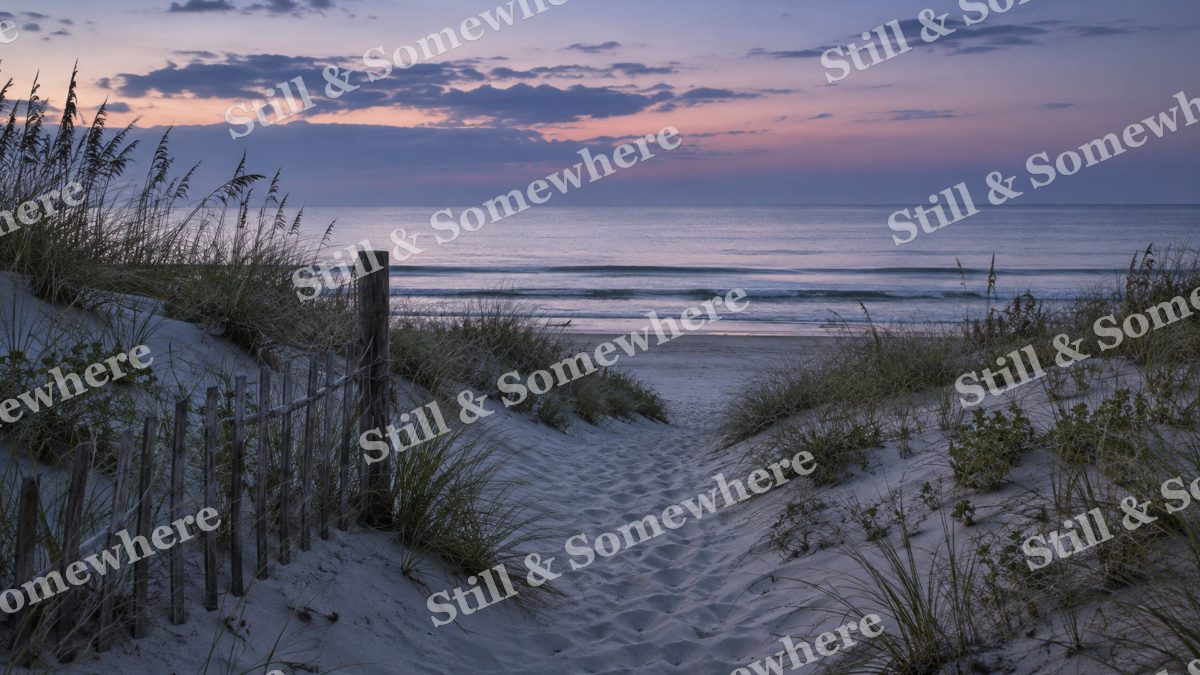 Landscapes Blue Hour Along a Quiet Beach Path, peaceful landscapes artwork preview