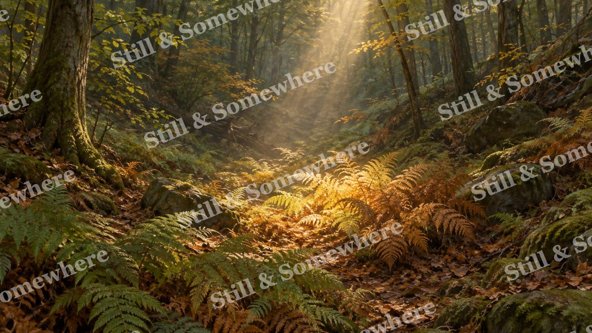 Sunlit Fern Hollow, forests artwork preview