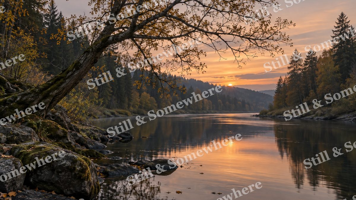 Landscapes Evening Stillness Beneath a Leaning Alder, peaceful landscapes artwork preview