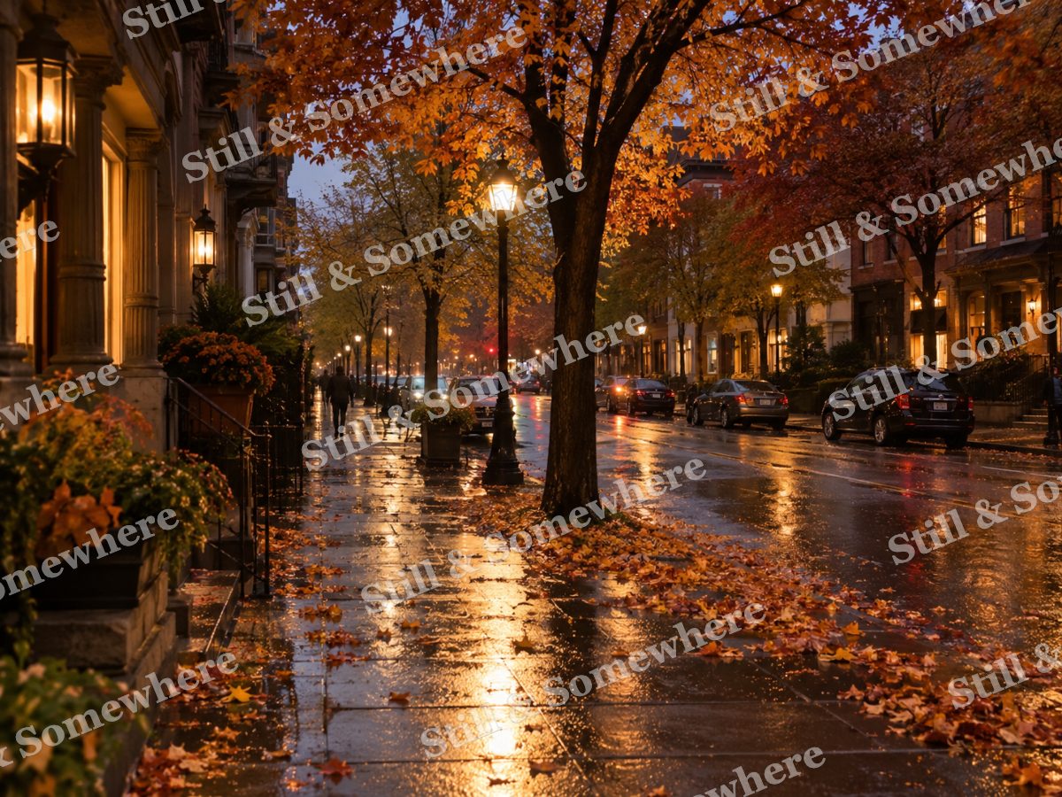 Lamplit Town Street After Autumn Rain, original artwork preview