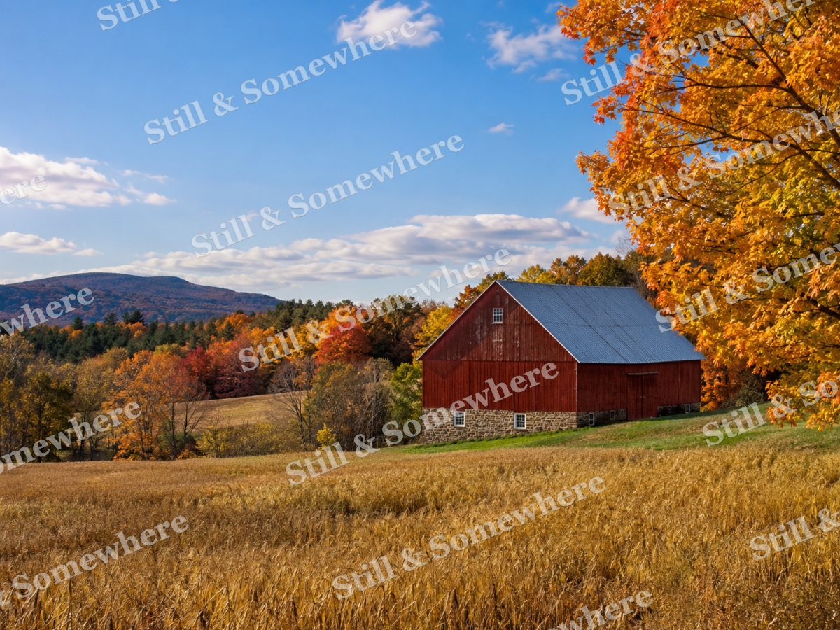 Red Barn Beside a Golden Autumn Field, original artwork preview